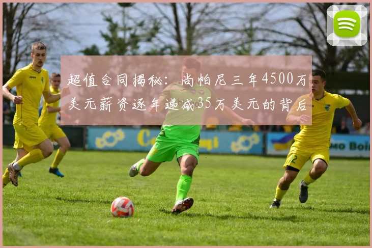 超值合同揭秘：尚帕尼三年4500万美元薪资逐年递减35万美元的背后故事